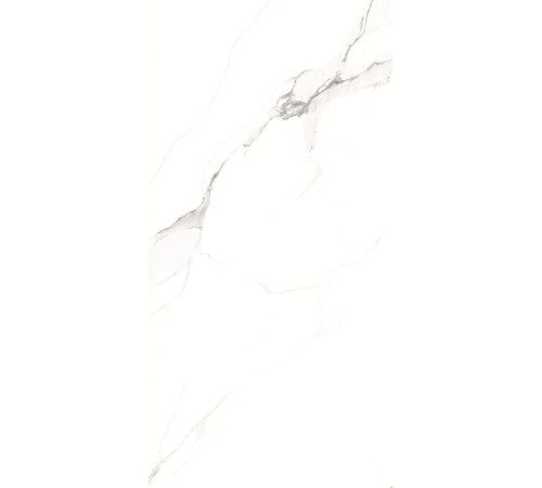 GT1206012003SPR Керамогранит Alfanzo белый лаппатированный 60x120