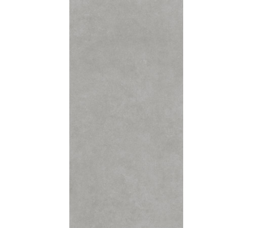 GT1206018301MR Керамогранит Floss серый матовый 60x120