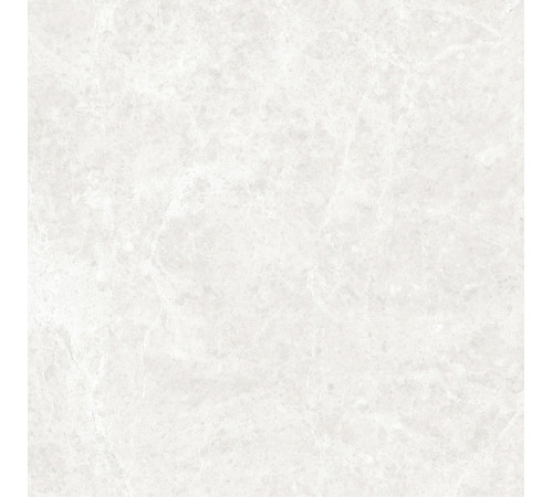 GT60604606PR Керамогранит Korinthos светло-серый полированный 60x60