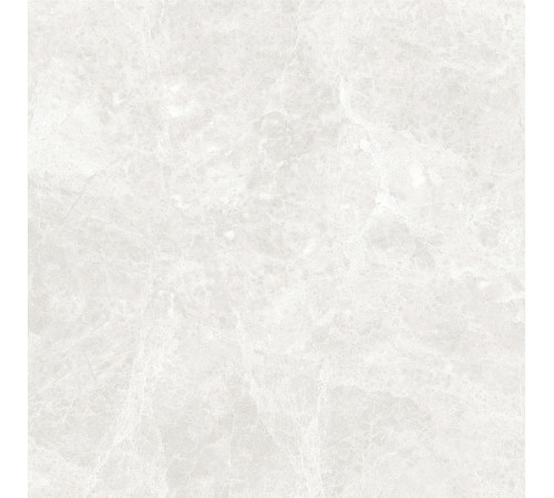 GT60604606PR Керамогранит Korinthos светло-серый полированный 60x60