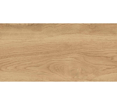 GT220VG Керамогранит Florida бежевый матовый 30x60