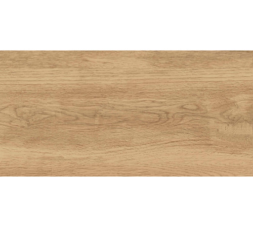 GT220VG Керамогранит Florida бежевый матовый 30x60