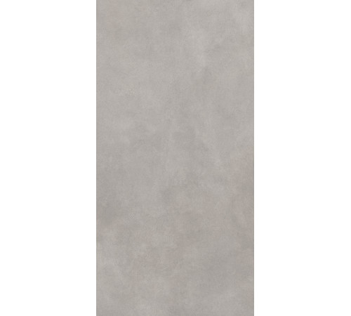GT1206017701MR Керамогранит Cassini серый матовый 60x120