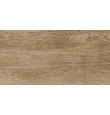 6260-0211 Керамогранит Nostrum бежевый матовый 30x60