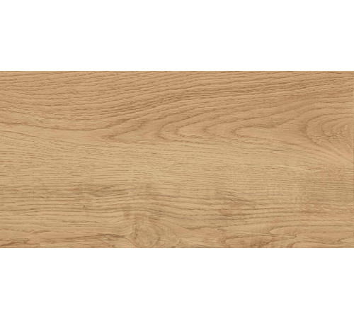 GT220VG Керамогранит Florida бежевый матовый 30x60