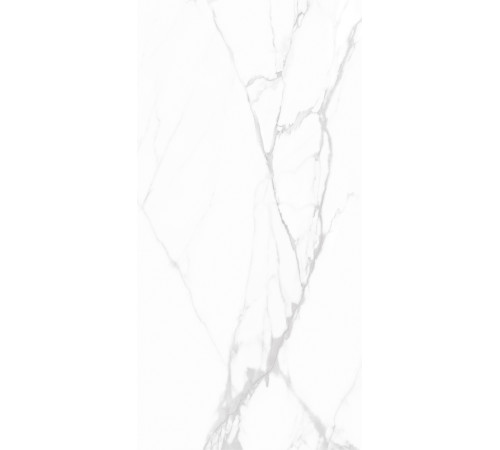 GT1206015903PDR Керамогранит Andrea белый полированный 60x120