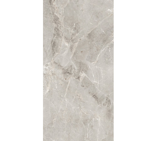 GT1206012101SPR Керамогранит Tulip серый лаппатированный 60x120