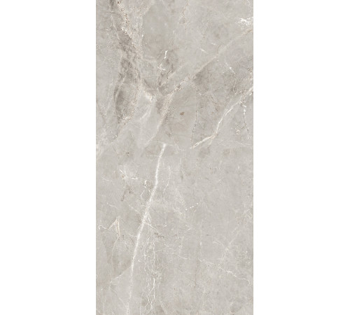 GT1206012101SPR Керамогранит Tulip серый лаппатированный 60x120