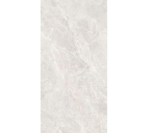 GT1206019606MDGR Керамогранит Anatolia светло-серый матовый 60x120