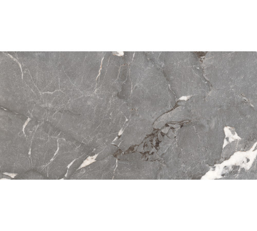 PGT1206010201SGR Керамогранит Pegasus серый матовый 60x120