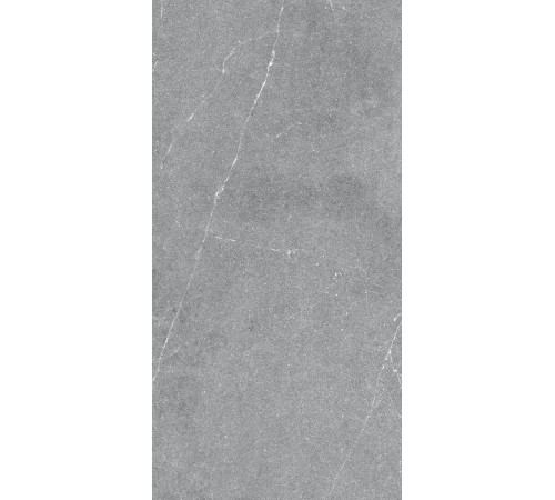 GT1206015401MR Керамогранит Geo серый матовый 60x120