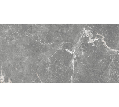 GT99VG Плитка настенная Capella серая глянцевая 25x50