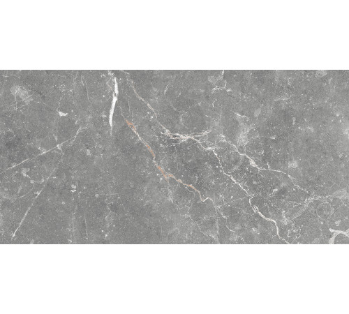 GT99VG Плитка настенная Capella серая глянцевая 25x50