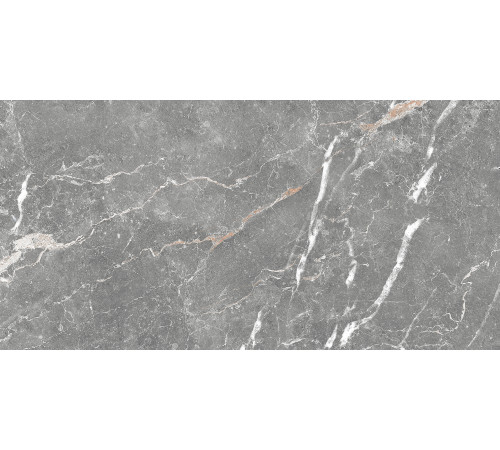 GT99VG Плитка настенная Capella серая глянцевая 25x50