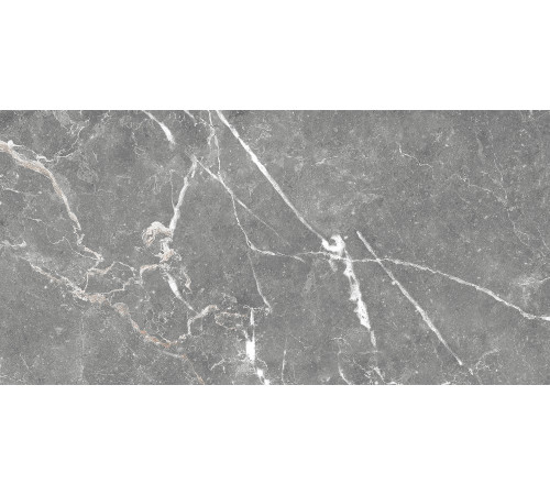 GT99VG Плитка настенная Capella серая глянцевая 25x50