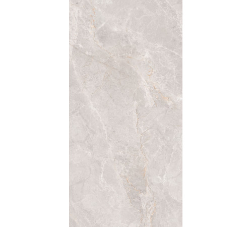 GT1206018106MCR Керамогранит Montera светло-серый матовый 60x120