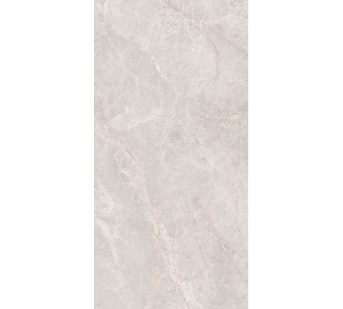 GT1206018106MCR Керамогранит Montera светло-серый матовый 60x120