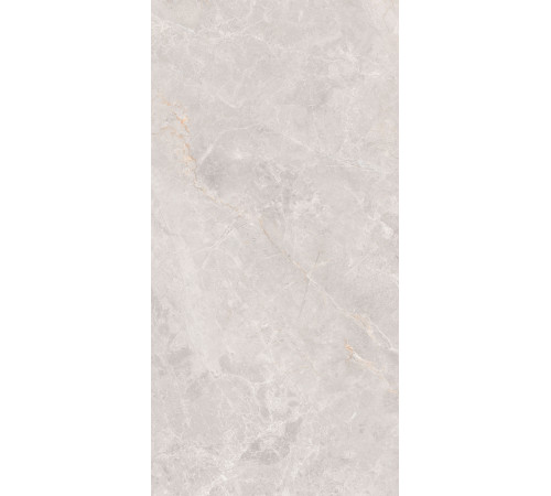 GT1206018106MCR Керамогранит Montera светло-серый матовый 60x120