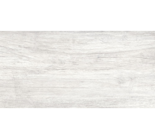 GT223VG Керамогранит Storm светло-серый матовый 30x60