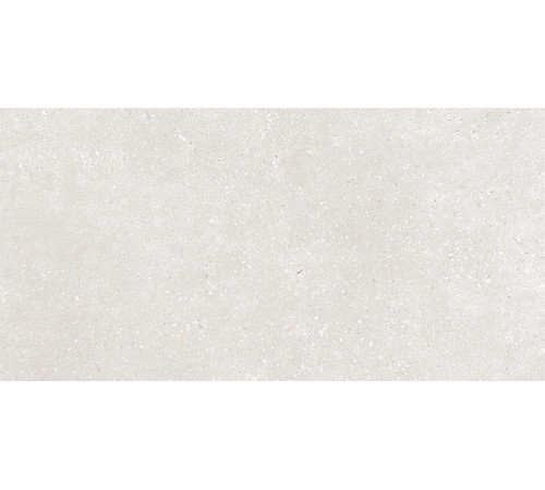 GT182VG Керамогранит Coral Rock светло-серый матовый 30x60