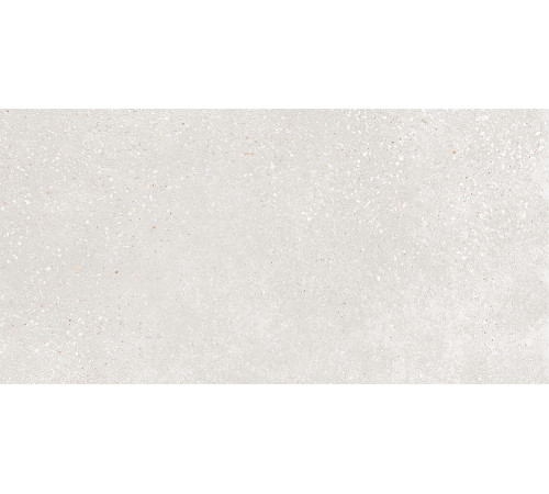 GT182VG Керамогранит Coral Rock светло-серый матовый 30x60