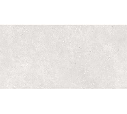 GT182VG Керамогранит Coral Rock светло-серый матовый 30x60