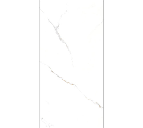 GT1206015103PR Керамогранит Corus белый полированный 60x120