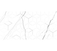 GT124VG Декор Siluet белый  глянцевая 25x50