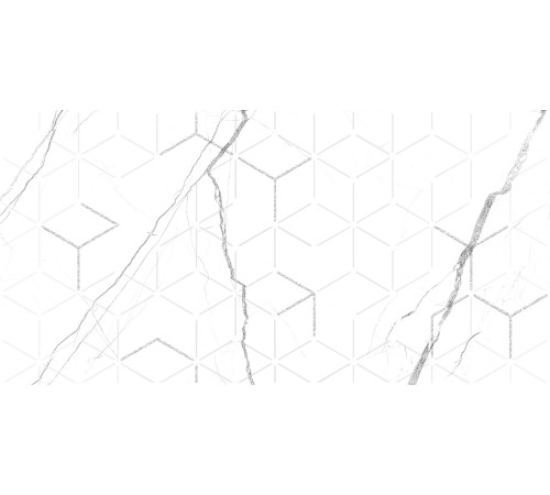 GT124VG Декор Siluet белый  глянцевая 25x50