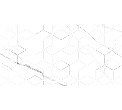 GT124VG Декор Siluet белый  глянцевая 25x50