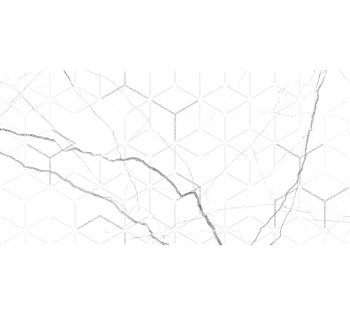 GT124VG Декор Siluet белый  глянцевая 25x50