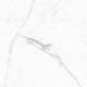 GT60604803PR Керамогранит Elegant Statuario белый полированный 60x60