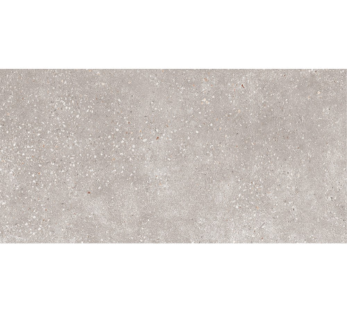 GT183VG Керамогранит Coral Rock серый матовый 30x60