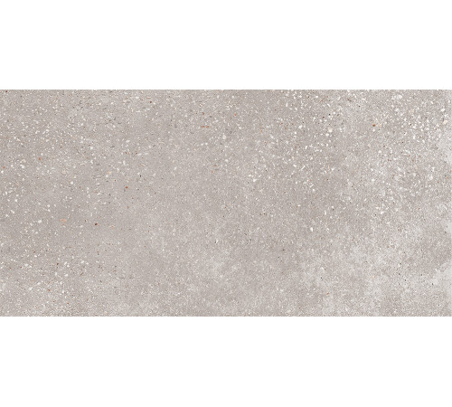 GT183VG Керамогранит Coral Rock серый матовый 30x60