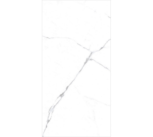 PGT120609403MGR Керамогранит Olivia белый матовый 60x120