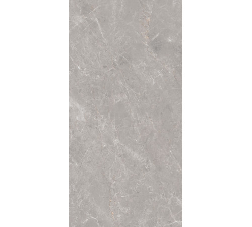 GT1206019601MDGR Керамогранит Anatolia серый матовый 60x120