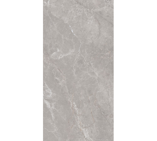 GT1206019601MDGR Керамогранит Anatolia серый матовый 60x120