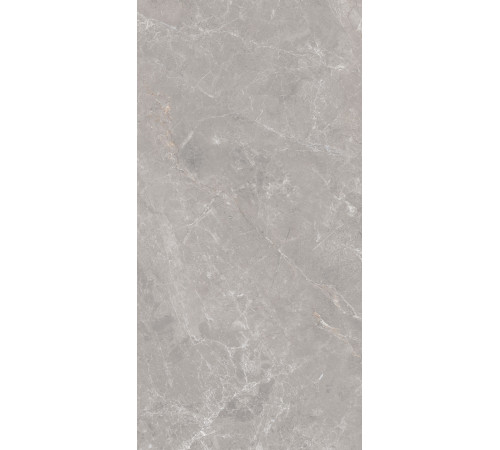 GT1206019601MDGR Керамогранит Anatolia серый матовый 60x120