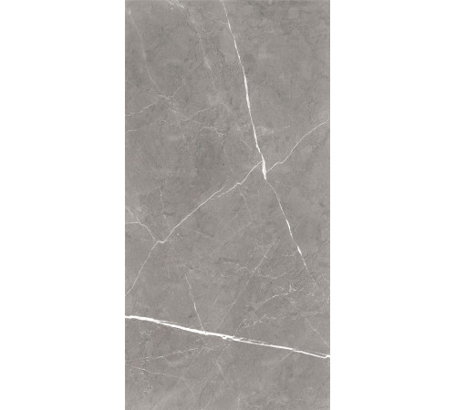 GT120603001MCR Керамогранит Encanto серый карвинг матовый 60x120