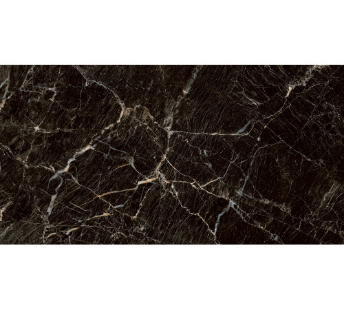 PGT1206010105MGR Керамогранит Zebrano черный матовый 60x120