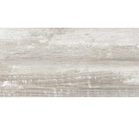 GT225VG Керамогранит Antares серый матовый 30x60