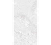 GT1206016206PDR Керамогранит Agra светло-серый полированный 60x120