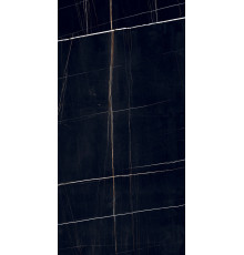 PGT120609705SGR Керамогранит Dorato черный матовый 60x120