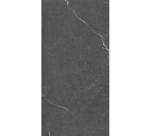 GT1206014305MCR Керамогранит Lakeside черный матовый 60x120