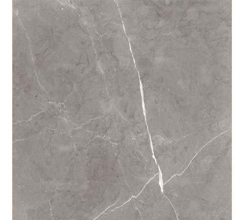 GT60603001MCR Керамогранит Encanto серый матовый 60x60