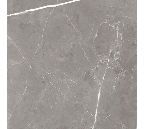 GT60603001MCR Керамогранит Encanto серый матовый 60x60