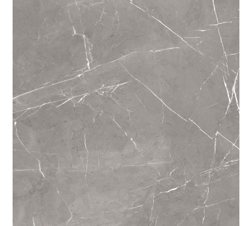GT60603001MCR Керамогранит Encanto серый матовый 60x60