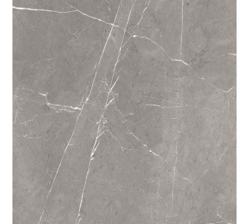 GT60603001MCR Керамогранит Encanto серый матовый 60x60