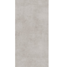 GT120600506MCR Керамогранит Stardust светло-серый карвинг матовый 60x120