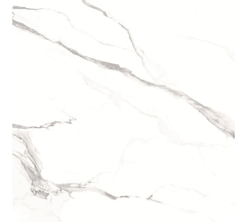 GT606012003SPR Керамогранит Alfanzo белый лаппатированный 60x60